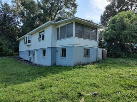 A home in MOUNT DORA