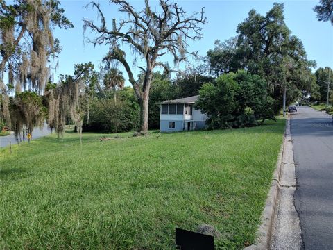 A home in MOUNT DORA