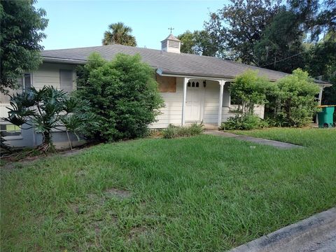 A home in MOUNT DORA