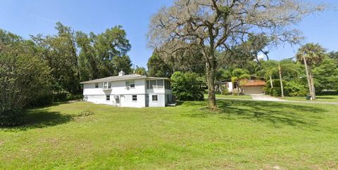 A home in MOUNT DORA