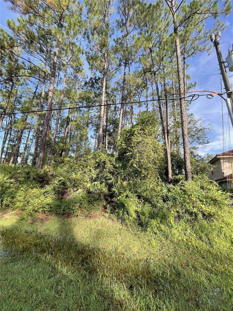 BUILD YOUR NEXT DREAM HOME IN CYPRESS KNOLL, ADJACENT LOT IS FOR SALE TOO! THAT GIVES YOU OVER 20,000 FT. CLOSE TO CYPRESS KNOLL GOLF COURSE, SURROUNDED BY LOVELY HOMES. CHOOSE YOUR BUILDER, NO TIME LIMIT TO BUILD. CLOSE TO SHOPPING, HOSPITAL, DOCTORS, I-95 IS ABOUT 3 MILES AWAY, FLAGLER BEACH IS ABOUT 8 MILES AWAY!