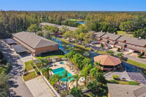 A home in TAMPA