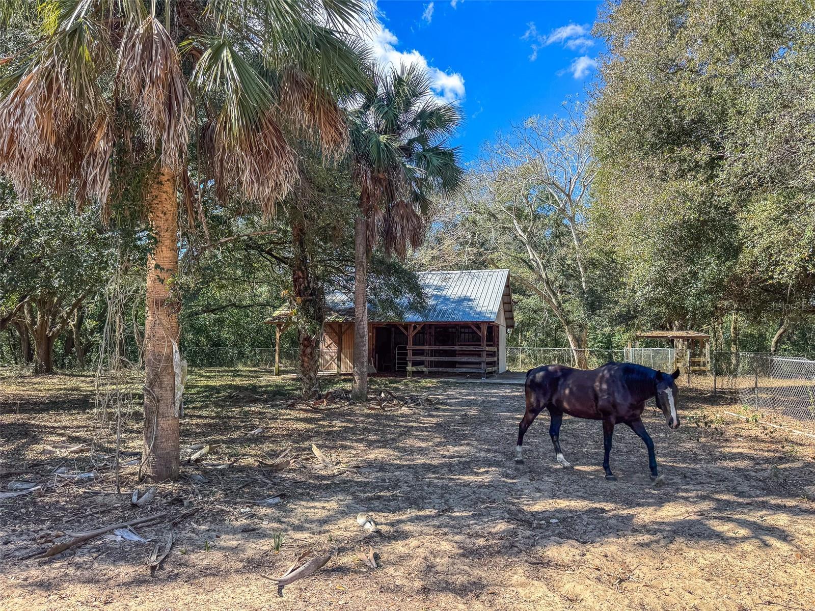 HOWEY W J LAND STARR LAKE - Residential