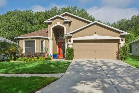 Photo of 10446 Lucaya Drive, Tampa, FL 33647 (MLS # TB8508754)