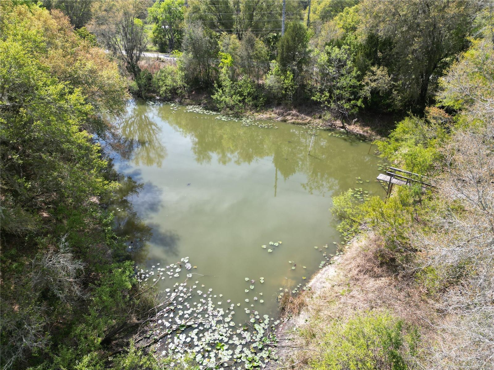 3095 COUNTY ROAD 202