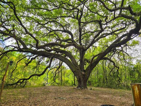 Tiny photo for 3095 County Road 202, Oxford, FL 34484 (MLS # GC538922)