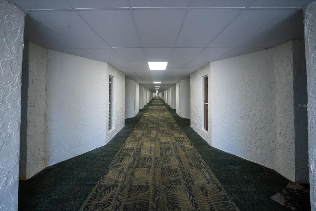 Photo of 2506 N Rocky Point Drive #333, Tampa, FL 33607 (MLS # TB8479072)