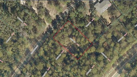 TBD SE FISHER RUN TERRACE LOT 16 OCALA FL 34472