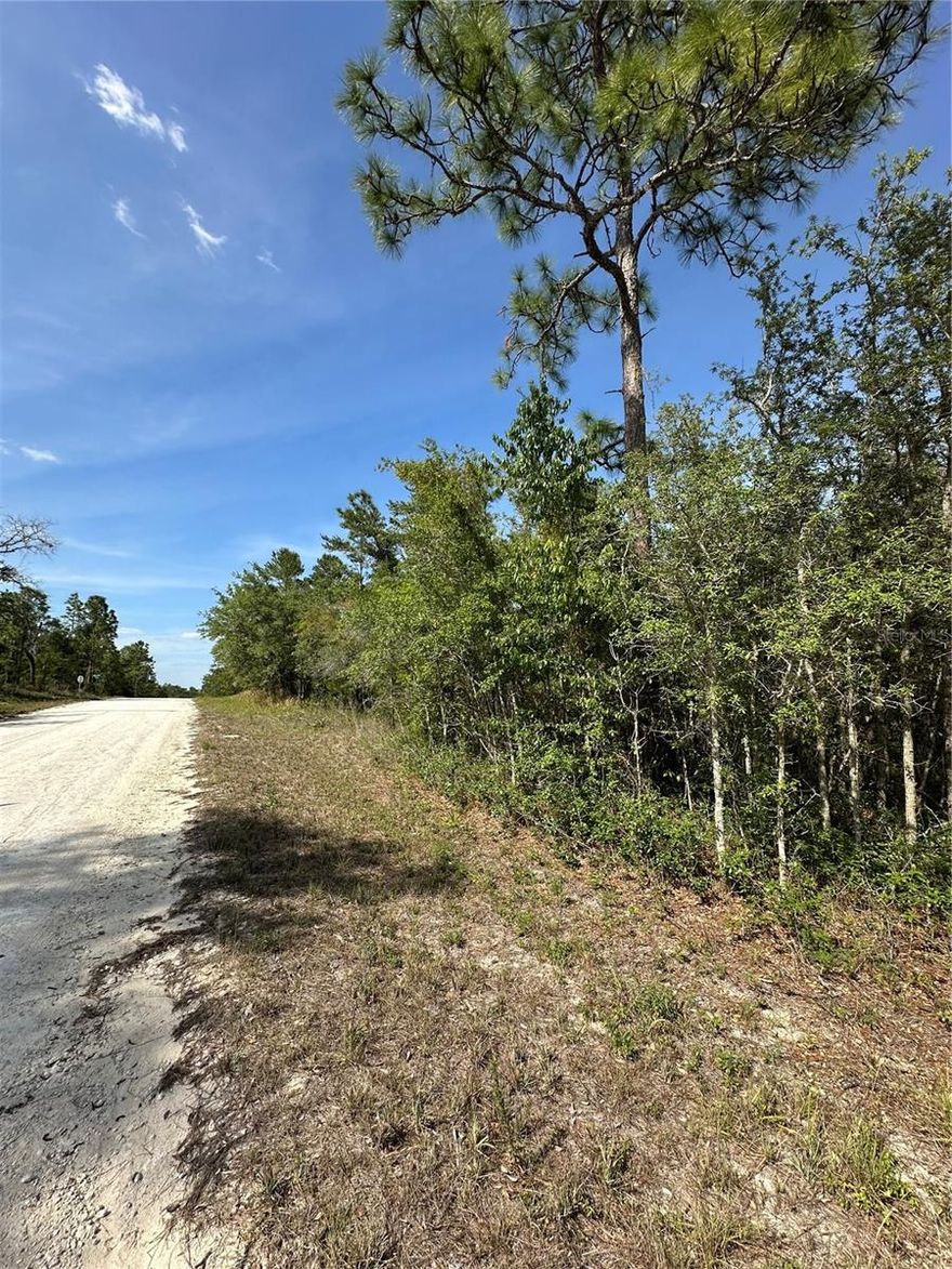 Welcome to your future homesite in the growing and desirable Royal Highlands community! This spacious 0.55-acre lot offers the perfect opportunity to build your custom dream home with plenty of room for a pool, garden, or extra storage. Enjoy the peaceful, natural surroundings with no HOA restrictions—bring your toys, boats, and outdoor gear! You'll be just minutes from a variety of outdoor activities, including hiking, fishing, kayaking, and wildlife watching at nearby Weeki Wachee Springs and Chassahowitzka Wildlife Refuge. If you're looking for privacy, space, and access to nature while still being close to shops, restaurants, and major roadways—this is the one. Secure your slice of Florida paradise today!