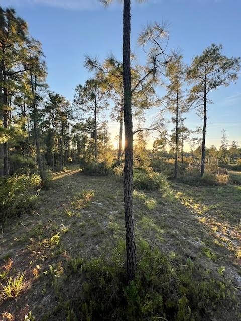 ROYAL TRAILS UNIT 01 - Land