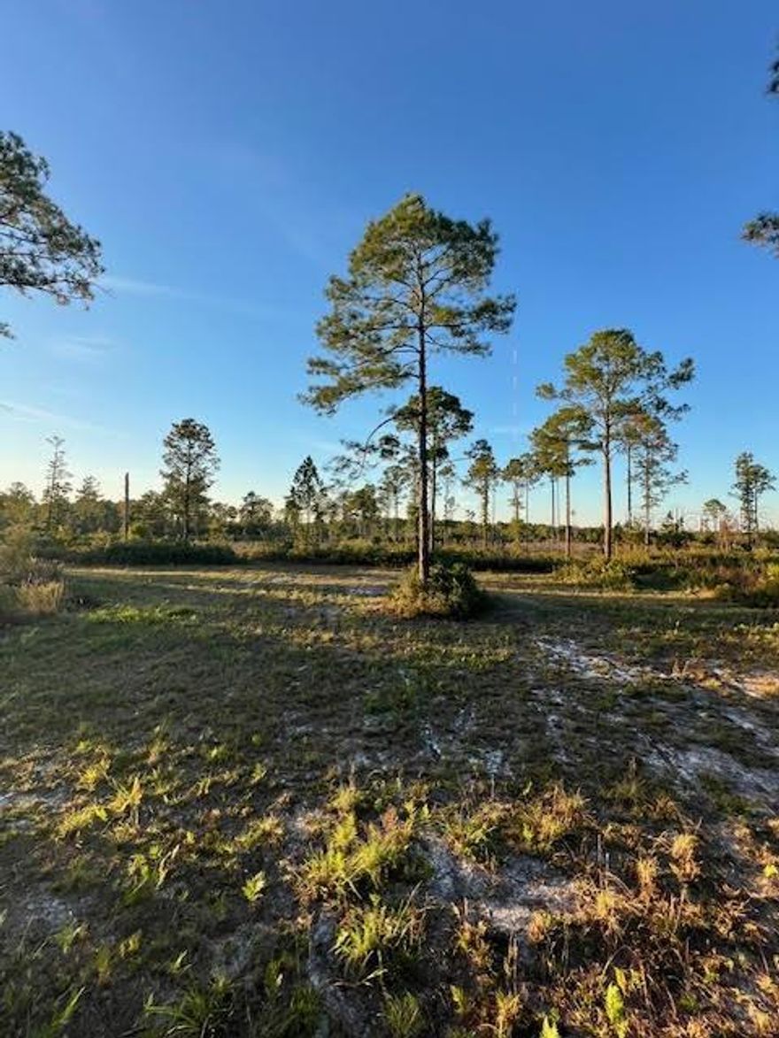 These lots are being offered buy one or all six. The asking price is for all, seller is motivated.
Two of the lots on Bluebell West cul de sac are uplands, the remaining four to Seagrape have wetlands. There is a county road easement from Bluebell west through to Seagrape Ave.