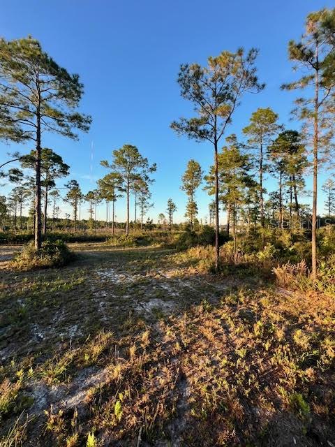 ROYAL TRAILS UNIT 01 - Land