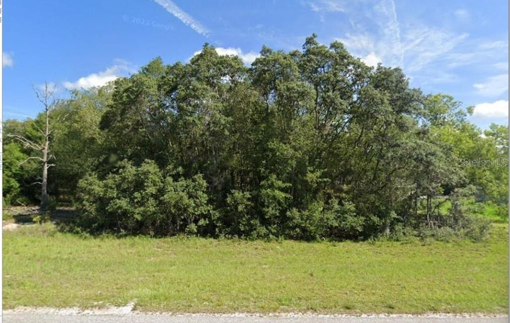 Photo of 00 Malauka Rd #40, Ocklawaha, FL 32179 (MLS # O6401228)