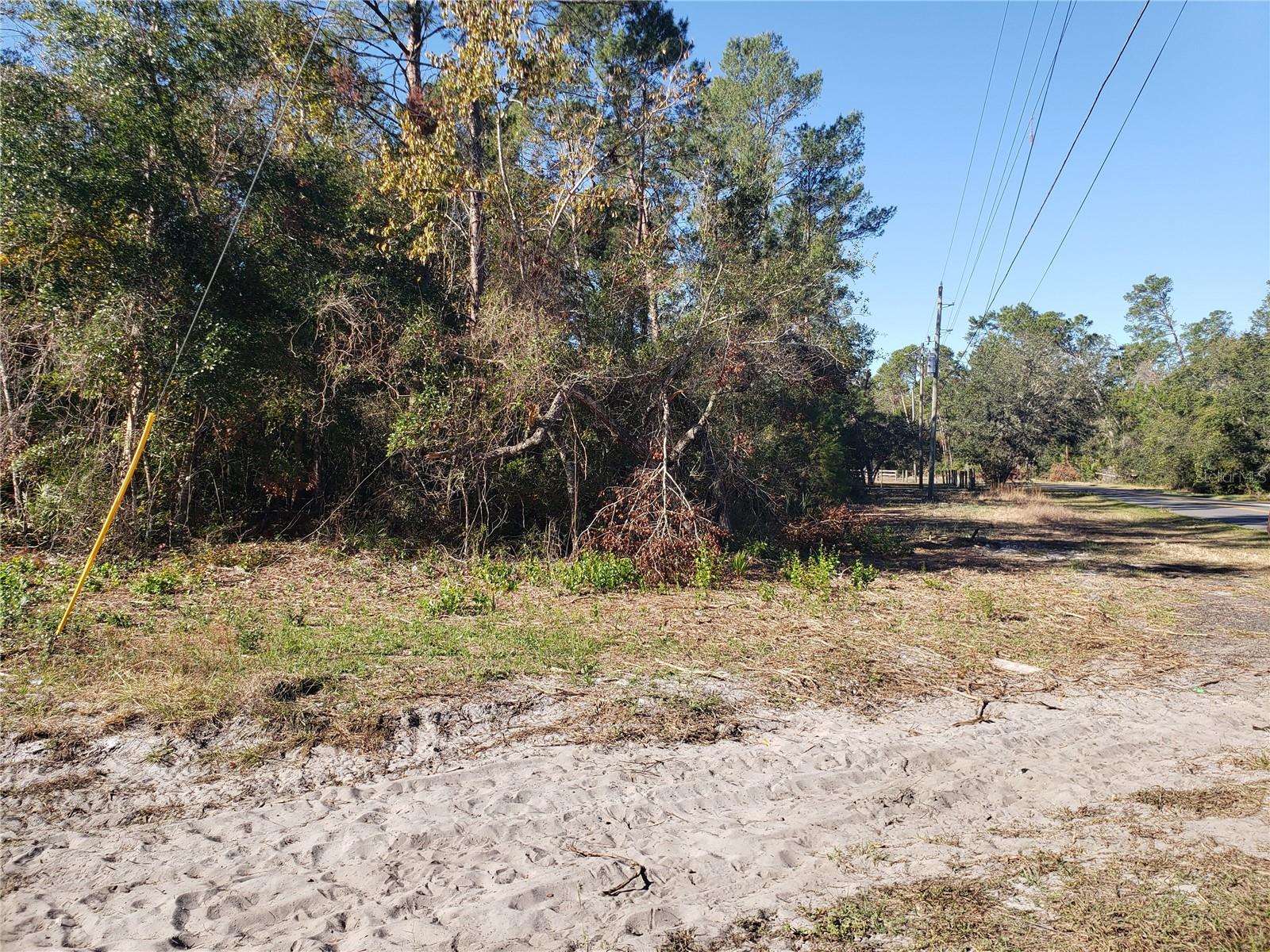 HIGH AND DRY Corner lot. Option to build Single Family Home or Manufactured Home. No HOA. Nice sized lot .48 acres. Seller Financing Available.