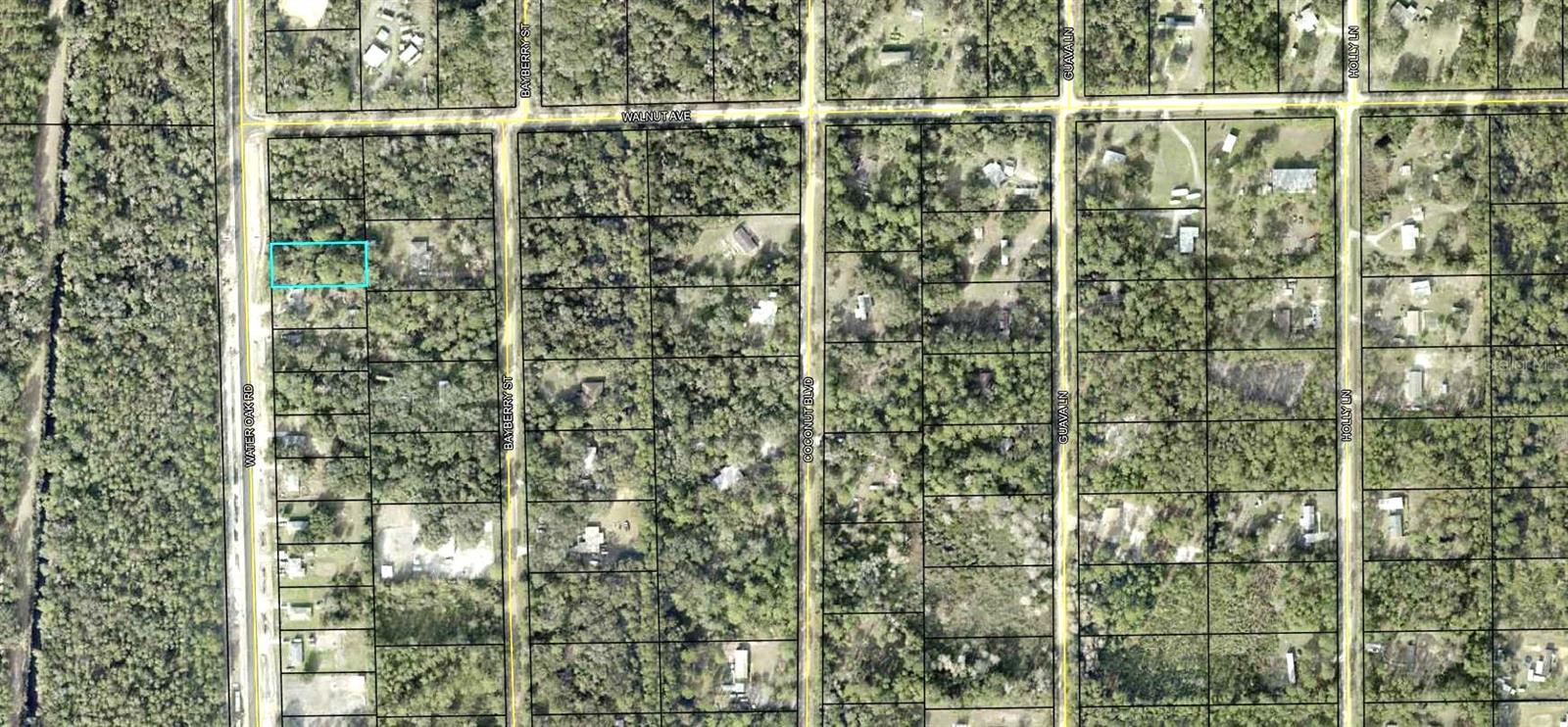 2309 WATER OAK ROAD