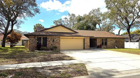 2890 ARMADILLO DRIVE PALM HARBOR FL 34683