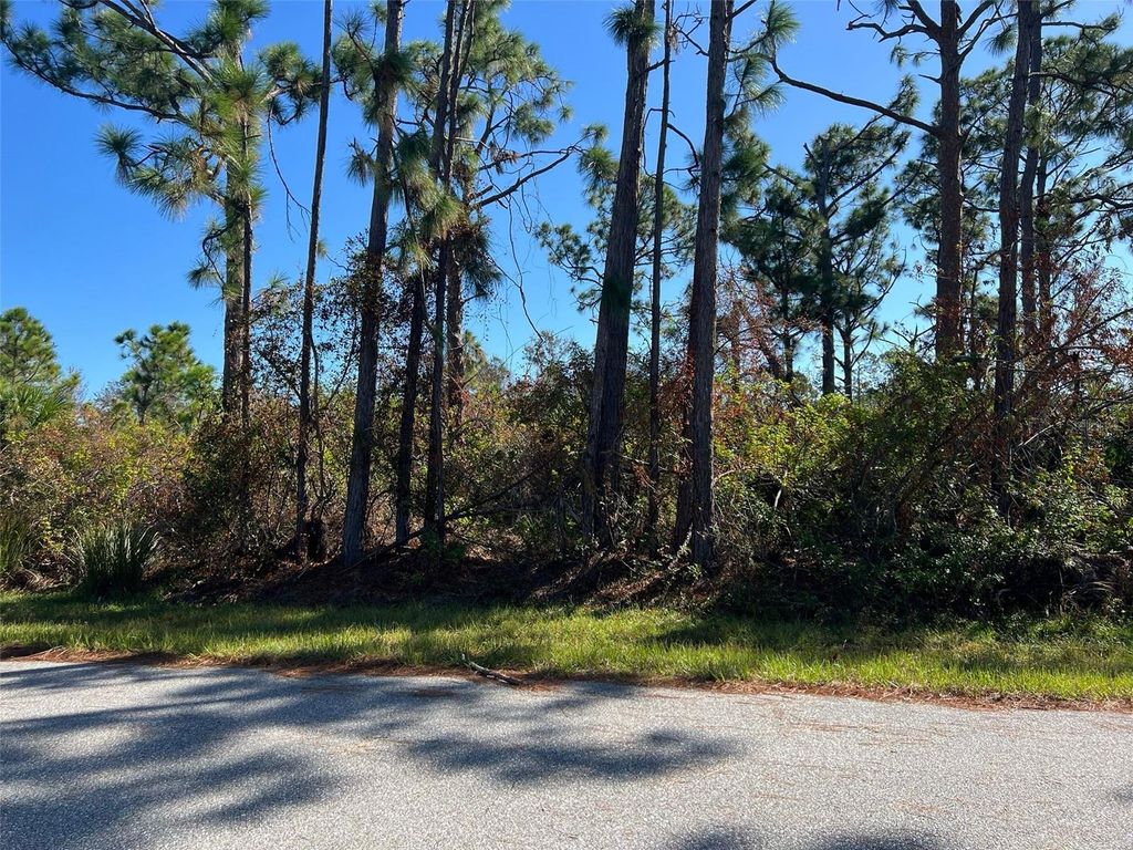 Photo of 7364 Walcott Road, Port Charlotte, FL 33981 (MLS # O6254867)