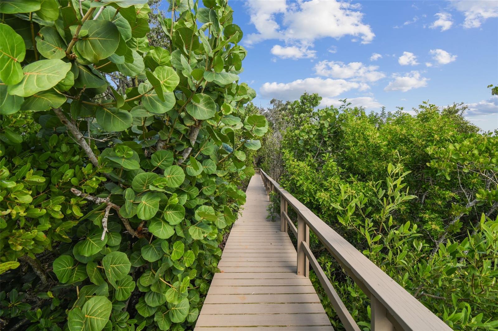 MEYERS COVE - Residential