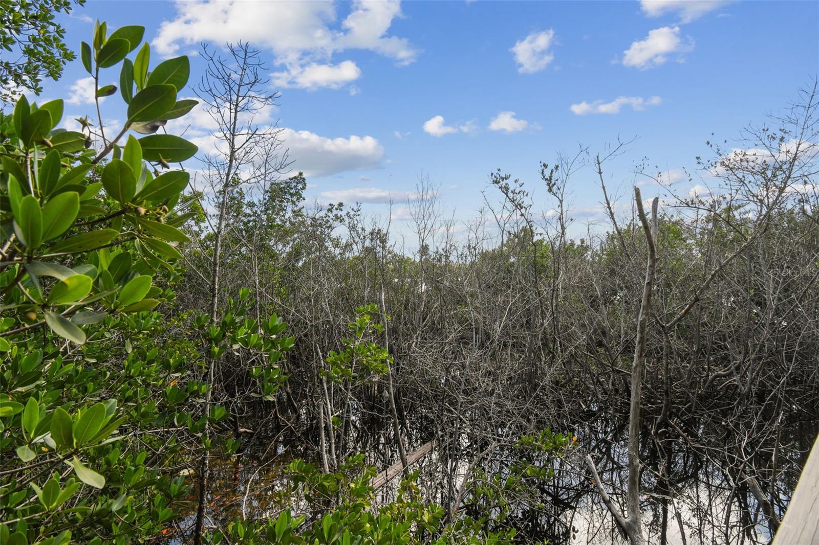 MEYERS COVE - Residential