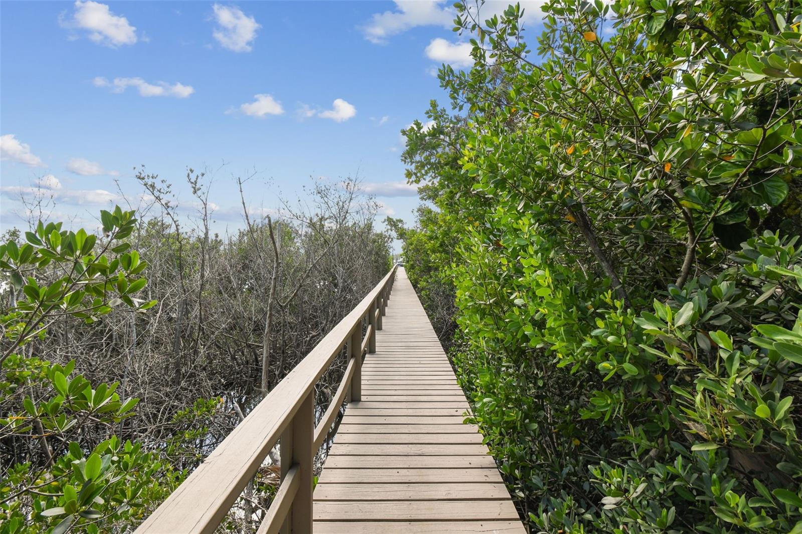 MEYERS COVE - Residential