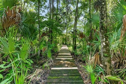 Tiny photo for 32589 Okaloosa Trail, Sorrento, FL 32776 (MLS # O6416704)