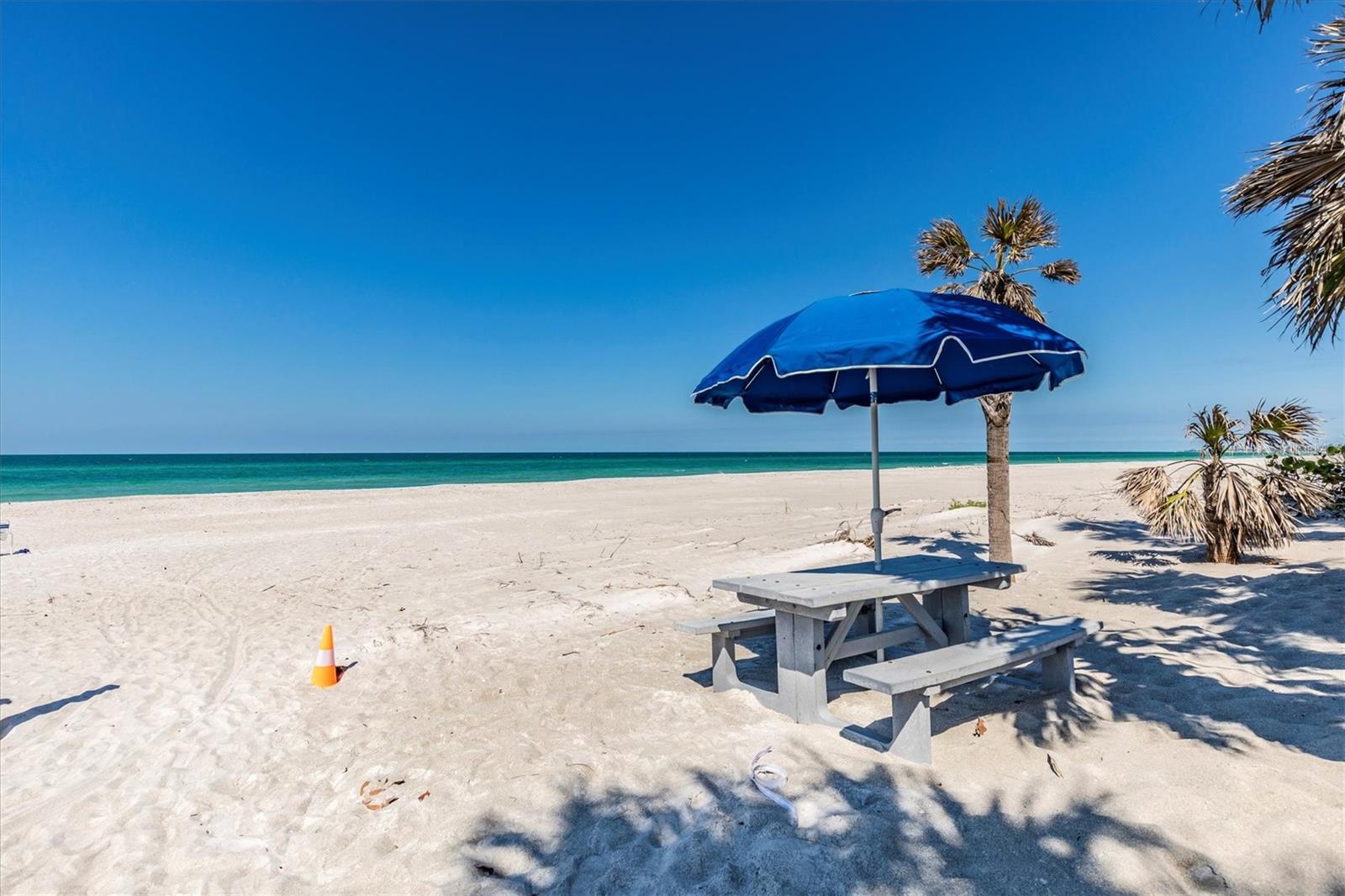 3806 GULF OF MEXICO DRIVE C204