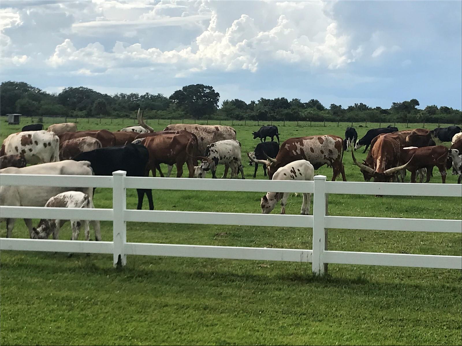 OUTDOOR RESORTS RIVER RANCH RV RESORT PH 03 - Land