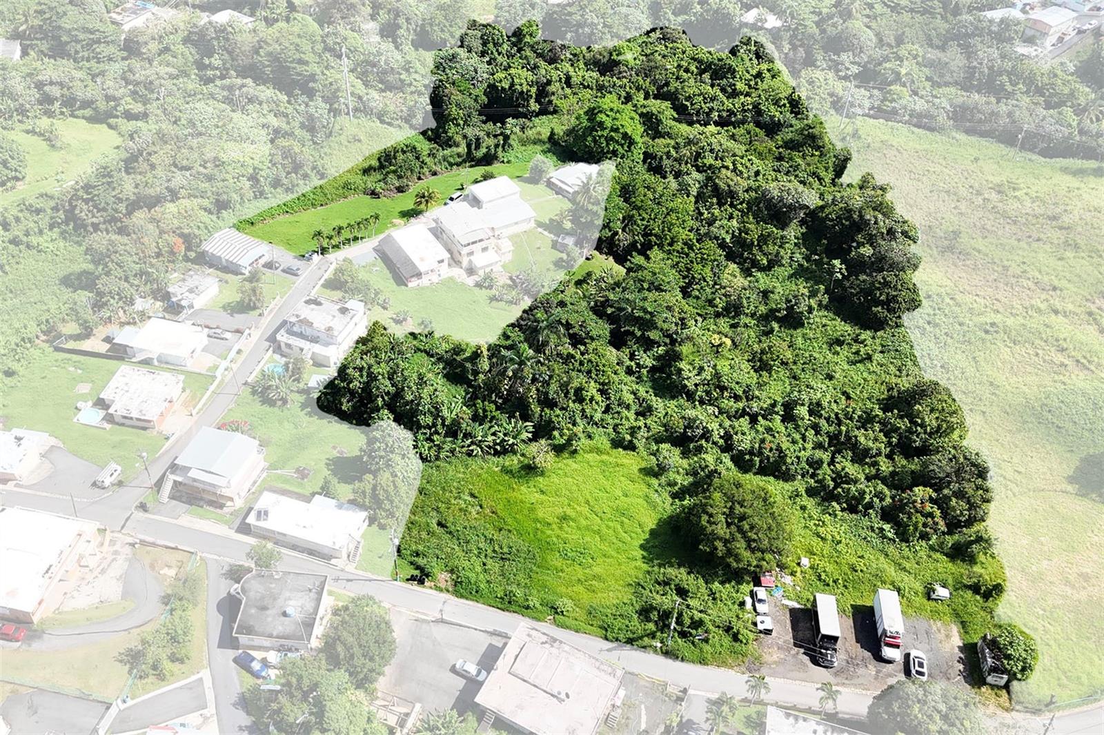 UNIQUE opportunity to acquire 5 acres of land in Quebrada Cruz, Toa Alta. Enjoy the peace and tranquility this space can provide. It's perfect for building your dream home, ideal size for planting, space to enjoy the vegetation, or simply creating a private area where you can savor a haven of peace. Due to its zoning, it also has the potential to be used as an investment for short-term rentals (Airbnb) or a Bed & Breakfast in the mountains. Water and Electricity are nearby.