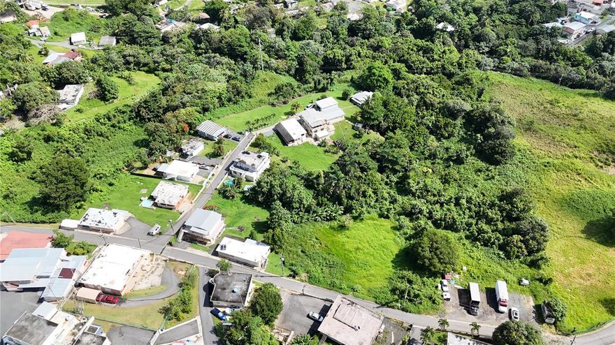 UNIQUE opportunity to acquire 5 acres of land in Quebrada Cruz, Toa Alta. Enjoy the peace and tranquility this space can provide. It's perfect for building your dream home, ideal size for planting, space to enjoy the vegetation, or simply creating a private area where you can savor a haven of peace. Due to its zoning, it also has the potential to be used as an investment for short-term rentals (Airbnb) or a Bed & Breakfast in the mountains. Water and Electricity are nearby.
