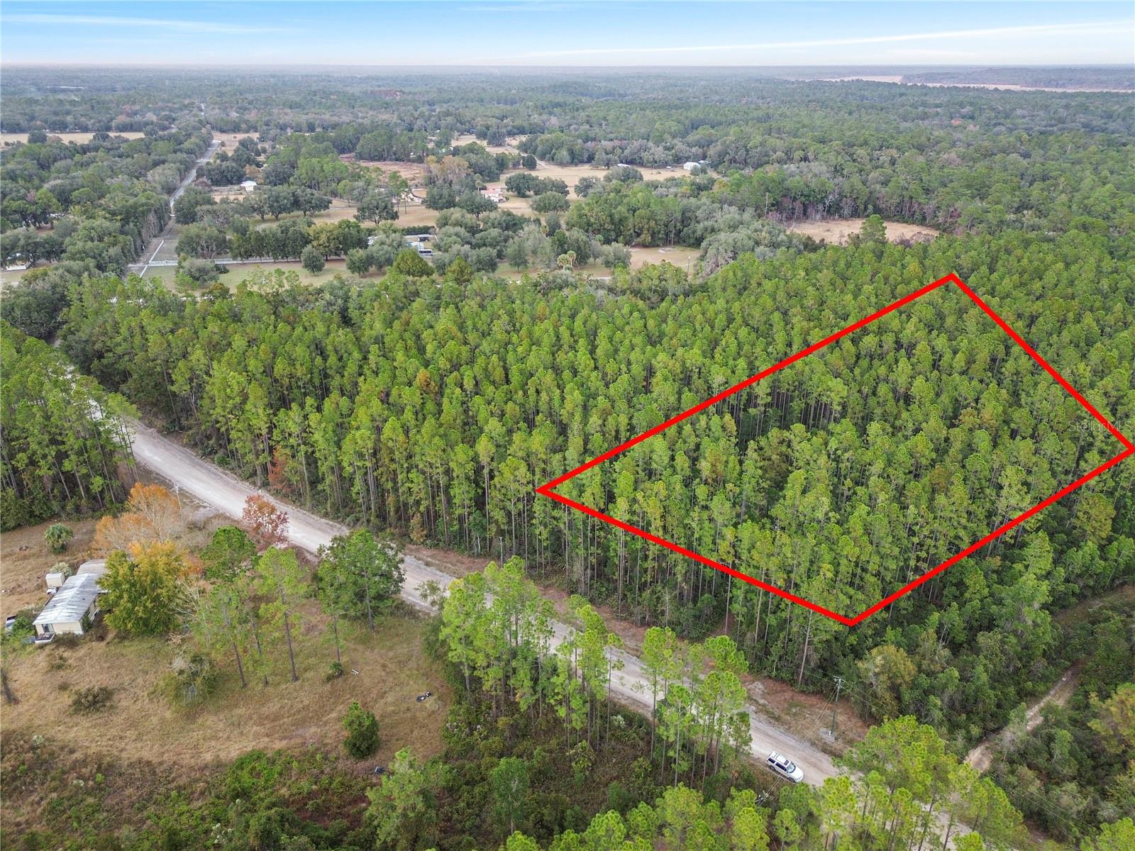 PERRYWELL BRANCH MINI TREE FAR - Land