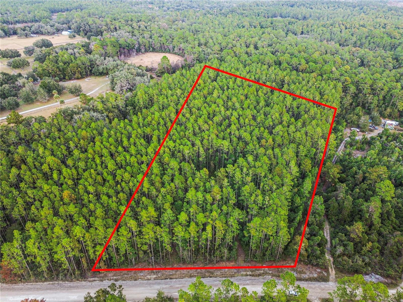 PERRYWELL BRANCH MINI TREE FAR - Land