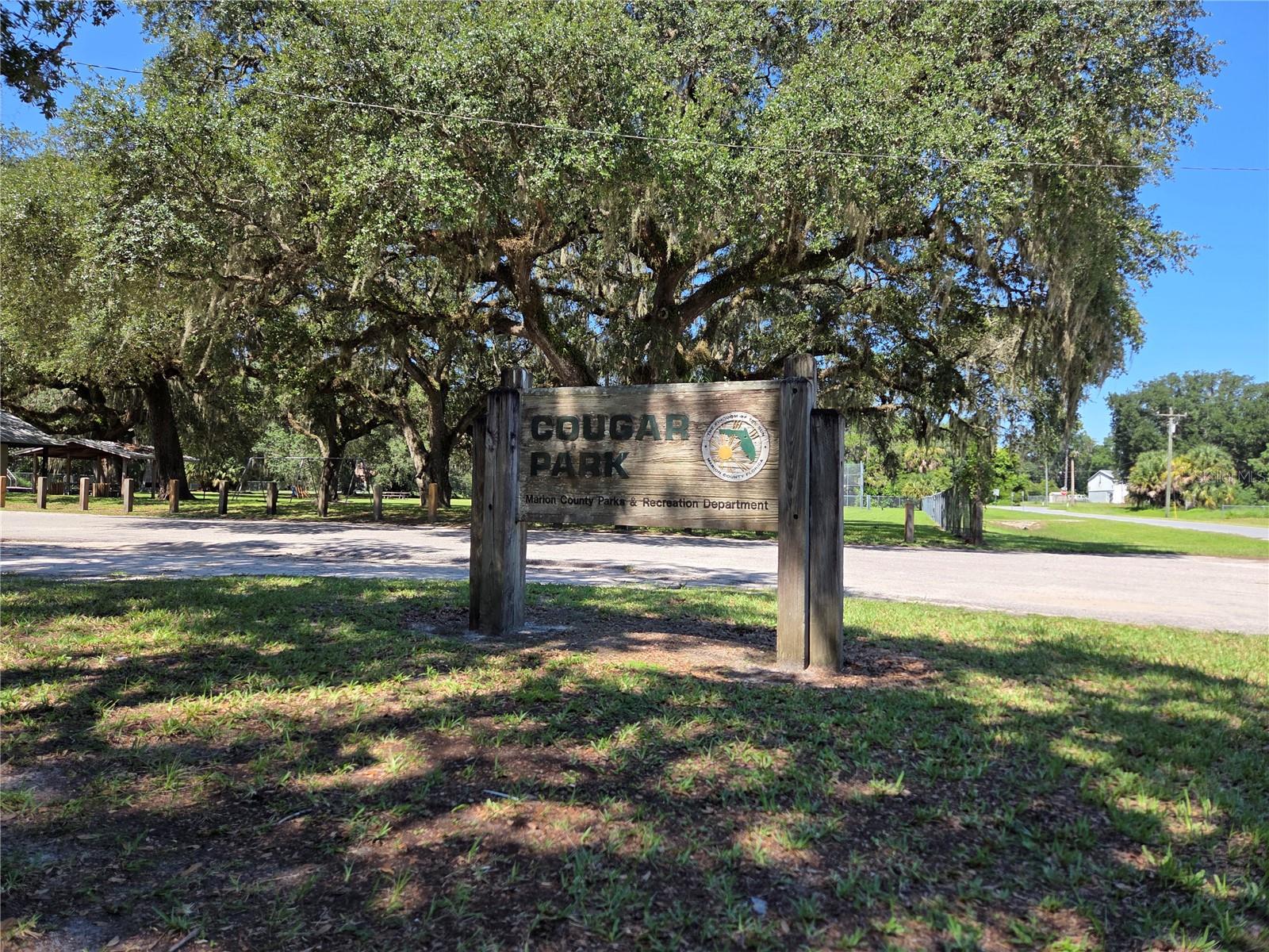 PERRYWELL BRANCH MINI TREE FAR - Land