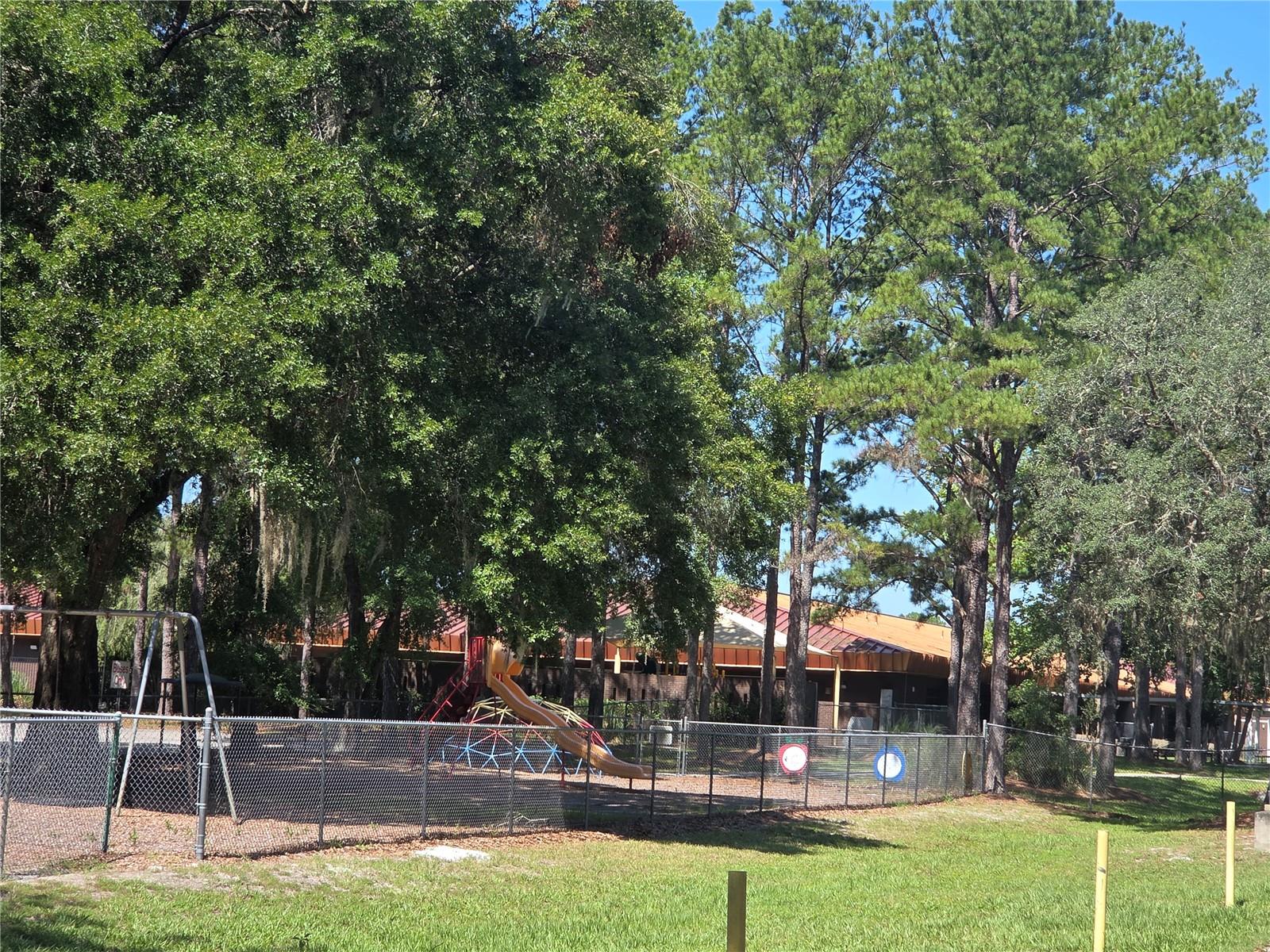 PERRYWELL BRANCH MINI TREE FAR - Land