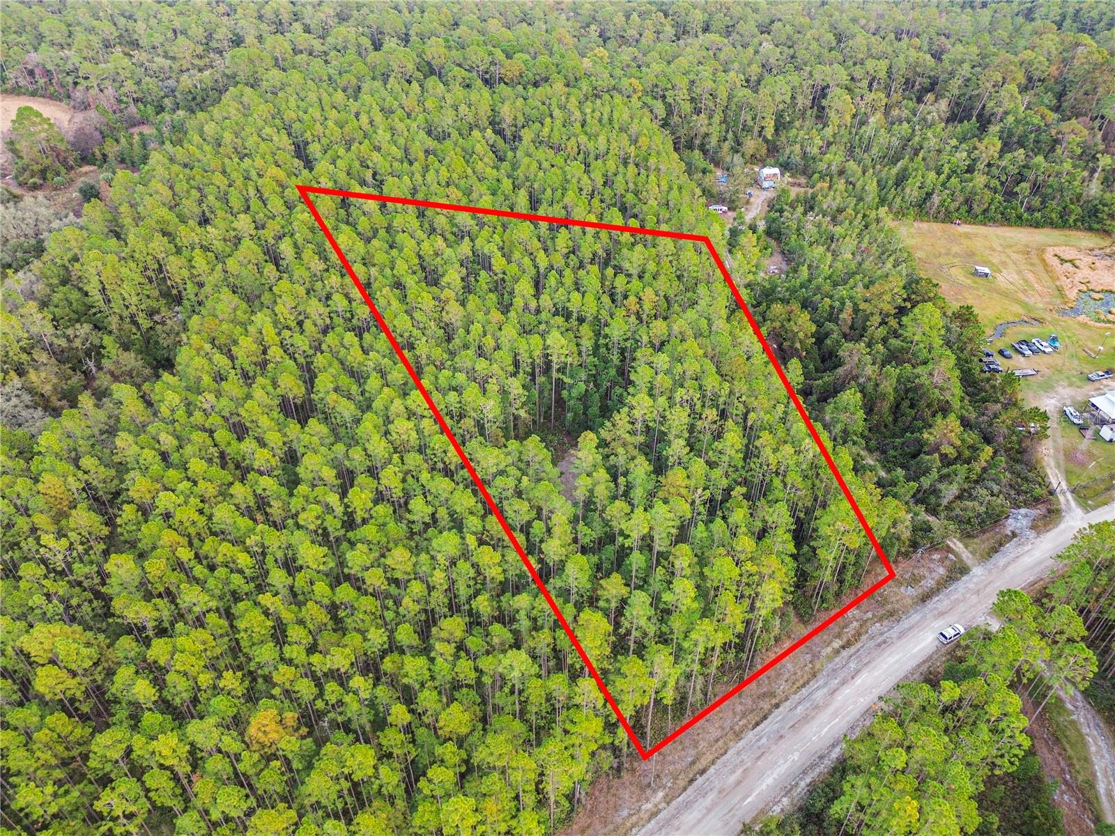 PERRYWELL BRANCH MINI TREE FAR - Land