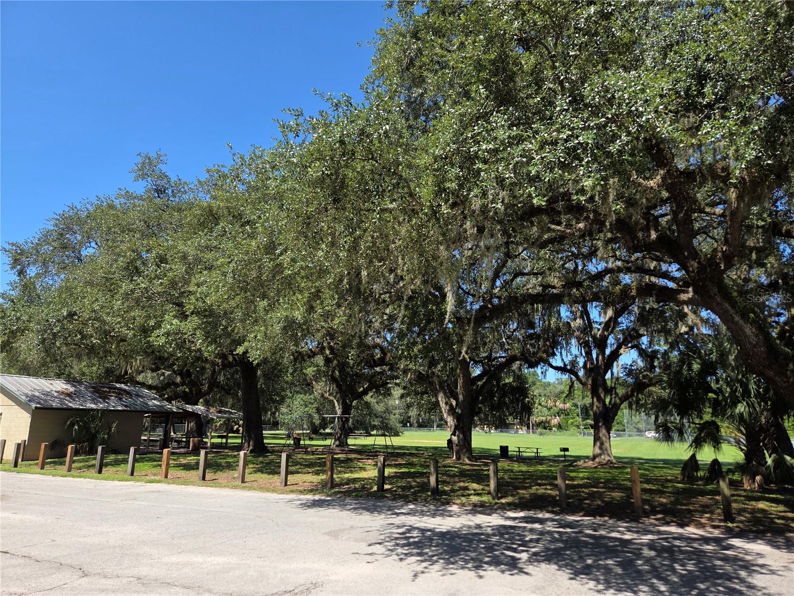 PERRYWELL BRANCH MINI TREE FAR - Land