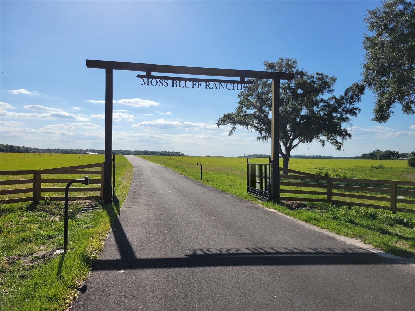 MOSS BLUFF RANCHES - Land