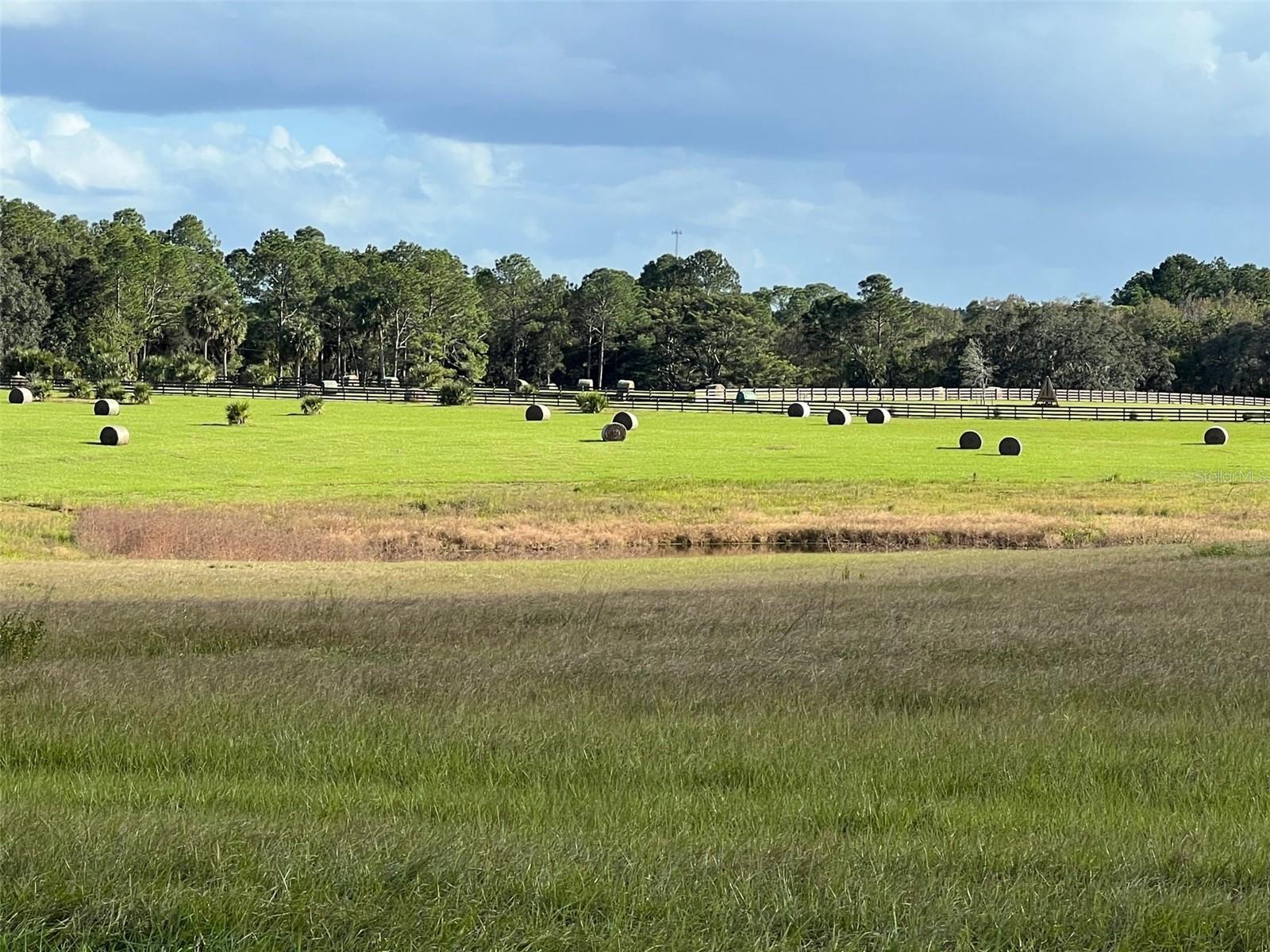 MOSS BLUFF RANCHES - Land