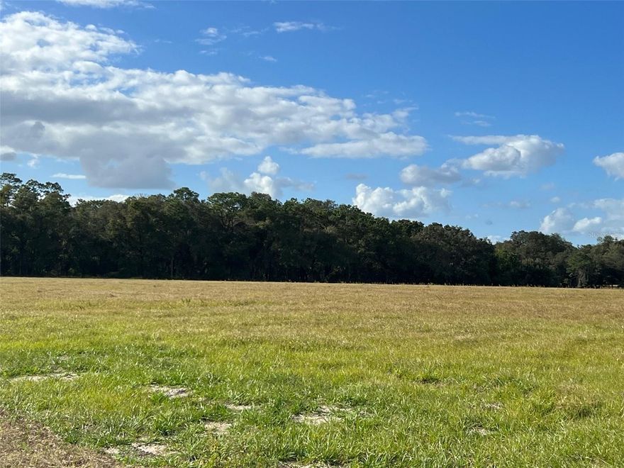 OWNER FINANCING ON THIS 15.35 acres of pristine land to build your dream home, don't miss out on this rare opportunity! Located next to Moss Bluff Ranches. This breathtaking property is known for its charming countryside, rolling hills, local wildlife, and peaceful ponds. This property is on the outskirts of the Ocala National Forest and is located minutes away from the Ocklawaha River and a boat ramp, where if you take the river south to Lake Harris, Lake Griffin, Lake Eustis and Mount Dora. If you go north the Ocklawaha River leads to the Historic Silver Springs, and Lake Ocklawaha. Contact us for more information and a tour of this incredible one of a kind property today! Financing terms are 10% down, 8 % interest, monthly payment of $2,179.45.