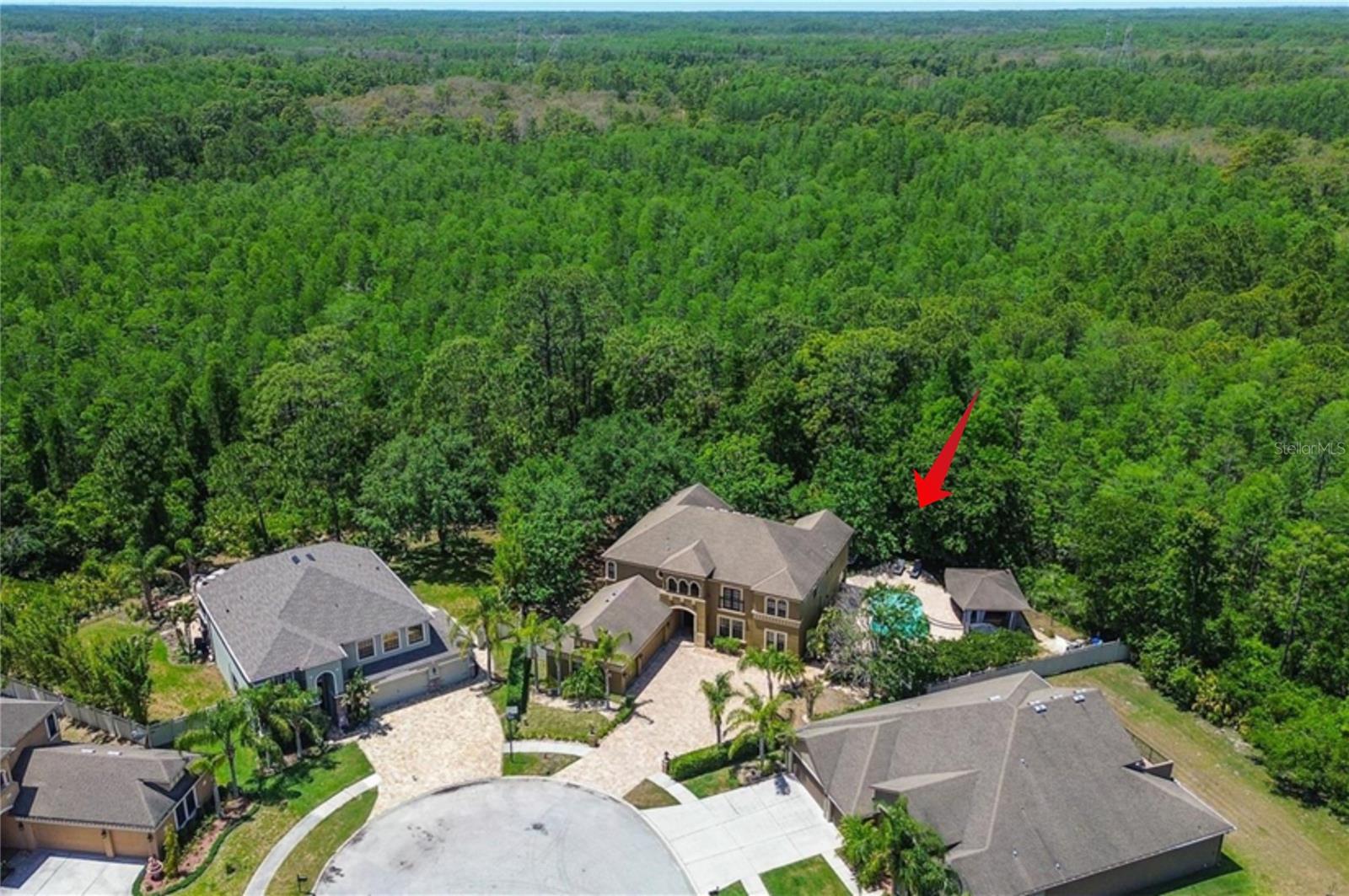 BUYER ASSISTANCE AVAILABLE:... SELLER WILL PAY 1.5% TOWARDS BUYERS CLOSING COSTS OR TO APPLY TOWARDS AN INITIAL INTEREST RATE REDUCTION/BUY DOWN STARTING IN THE MID 4'S. PALATIAL MEDITERRANEAN with 6-7 Bedrooms, 4.5 bathrooms, 3.5 car garage. OVER 1/2 ACRE LOT with 3 OUTDOOR LIVING CENTERS, BACKS TO PRESERVE, NO REAR NEIGHBORS. *PRIMARY ENSUITE on 1st FLOOR ... plus BEDROOM/BATHROOM downstairs that could be IN-LAW SUITE!* The home greets you with an expansive Courtyard driveway with pavers, lighted columns and palm trees! The side entry 3.5 CAR GARAGE offers room to park your golf cart, ATV or Harley. This MEDITERRANEAN DESIGN features faux Juliet balcony, Romanesque archways, and wrought iron balustrades. Step inside and the attention to detail is evident with CUSTOM WOODWORK such as larger crown molding, finely crafted art niches and plantation shutters! The open layout with 10ft high ceilings and 8ft doors invites natural light to illuminate the home. The Family Room boasts 20ft ceiling, STUNNING WHITE BRICK FIREPLACE & ENTERTAINMENT CENTER, and wall to wall sliders to lanai. There is a flex space under the stairs which could be used as a wine cellar. The KITCHEN IS MADE FOR ENTERTAINING with an 8-foot center island, SS appliances including built-in Sub-Zero Refrigerator, Sub-Zero 78 bottle Wine Refrigerator, warming drawer, walk-in pantry with pull out storage, breakfast bar, as well as the large breakfast dinette. Ascend the lighted stairways to the 2nd Story with TWO WINGS separated by a bridge. In the NORTH WING you’ll find 2BR/1BA with walk-in closets. The SOUTH WING boasts 2BR/1BA, a CUSTOM STUDY CENTER for homework, and an IMPRESSIVE THEATRE/GAME ROOM featuring kitchenette with a wet bar, and balcony with a view of the Preserve! THERE IS A HOME OFFICE with double pocket French glass doors and built-in murphy bed. Extras include 3 New HVAC systems 2024, New Exterior Paint 2024. NO FLOOD INSURANCE. Located in Florida’s Nature Coast, and backing to the Starkey Wilderness Preserve Serenova Tract, a 5.8 mile loop providing a campground, picnic areas, trails, and a lake. THIS HOME WAS DESIGNED FOR OUTDOOR LIVING with 3 LARGE BACKYARD LIVING centers. The FIRST AREA features a RESORT STYLE SWIMMING POOL with paver decking, a perfect spot to lounge with your umbrella drink and cool off on a summer afternoon. The home has over 2,000 sq ft of paver decking and walkways winding you around to the beautifully designed, heated, saltwater pool. The pool area is showcased by an exquisite outdoor kitchen and bar area with terraced paver steps to the pool. Outdoor entertainment is made easy with a built-in barbecue, ready made for alfresco dining. The pool bath with outside entrance is super convenient too. The SECOND AREA includes an indoor-outdoor lanai with roller shades opening onto the expansive Tree shaded paver patio, perfect for relaxing in your dual Jamaican hammocks, enjoying nature at its finest including a family of deer, and embracing endless exploration right out your back yard as you hop the fence and meander down the path into the preserve and park. The THIRD AREA is a huge treed area perfect for your children or pets to run free. Suncoast Lakes offers a playground, tennis courts and a pool. Near the Veterans/589, this is convenient to all Tampa has to offer and our world famous beaches! Schedule your private tour today!