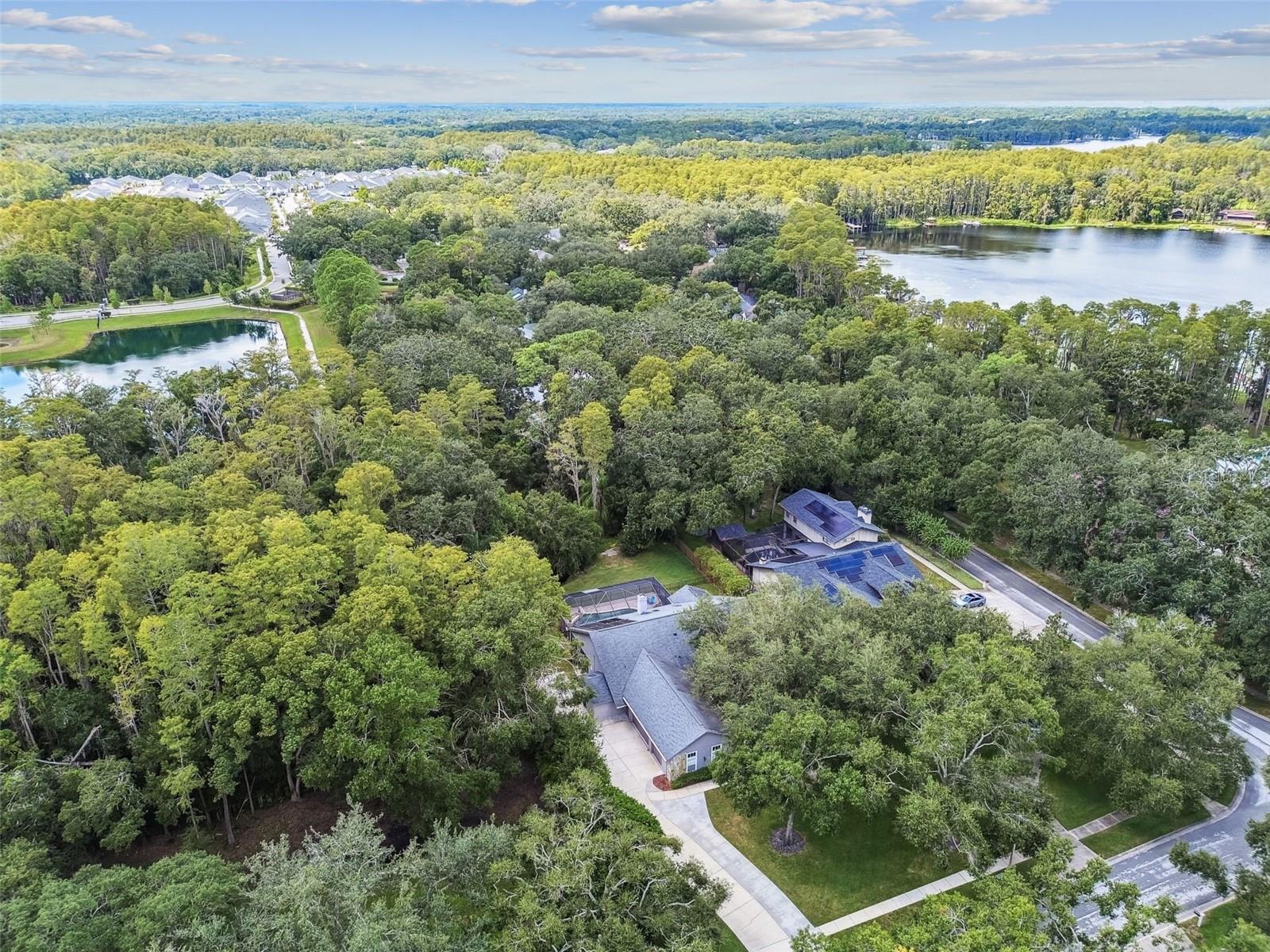 HAMMOCK WOODS - Residential