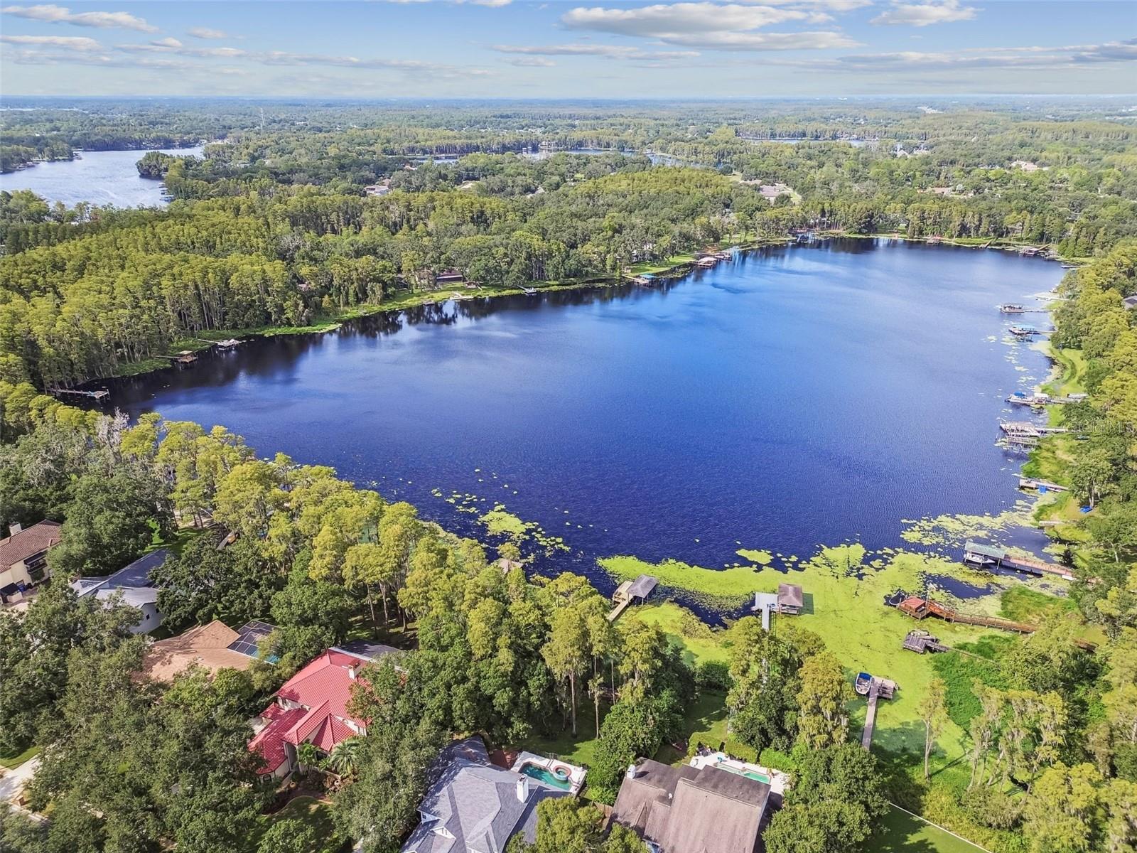 HAMMOCK WOODS - Residential