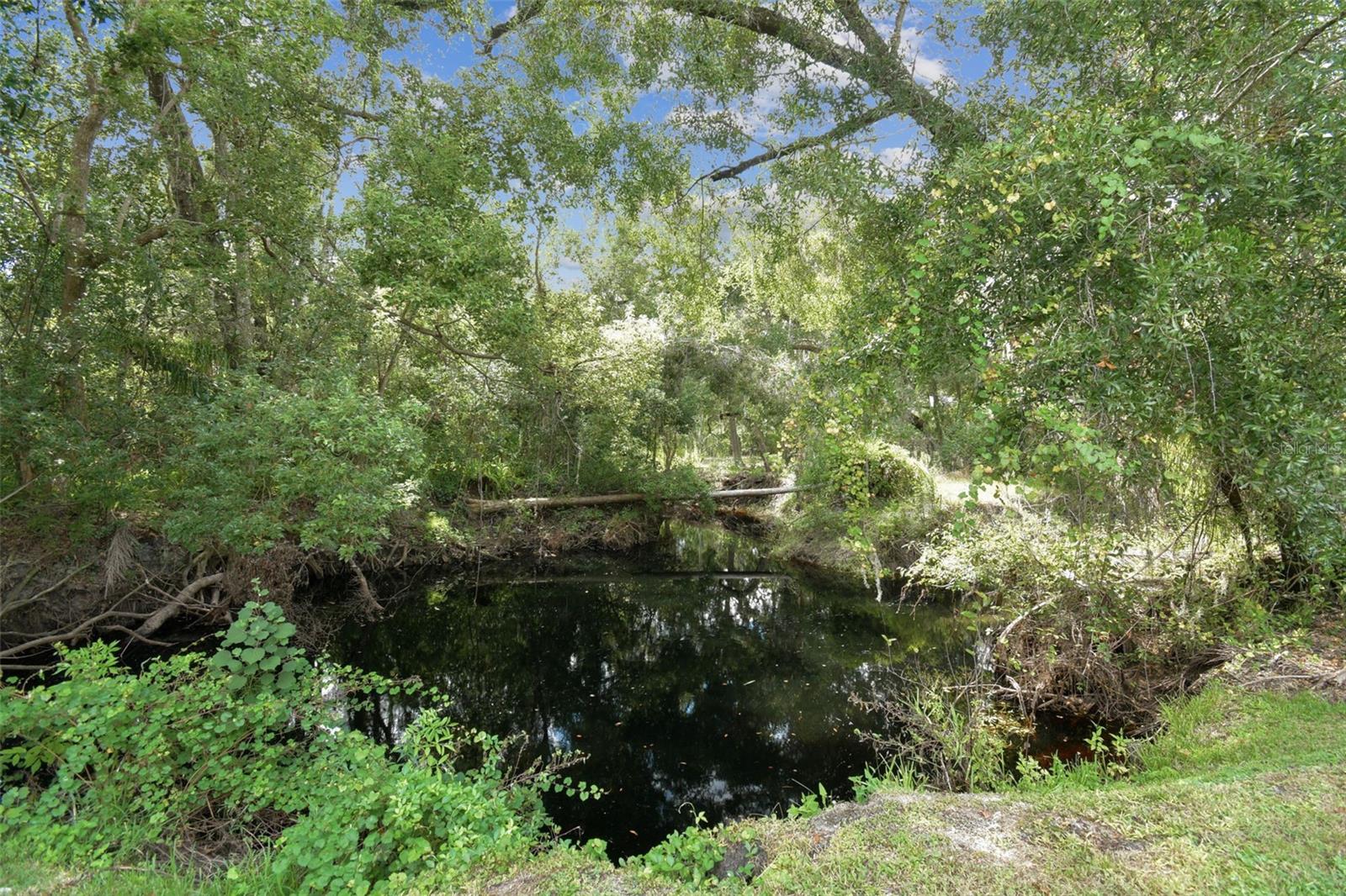 HAMMOCK WOODS - Residential