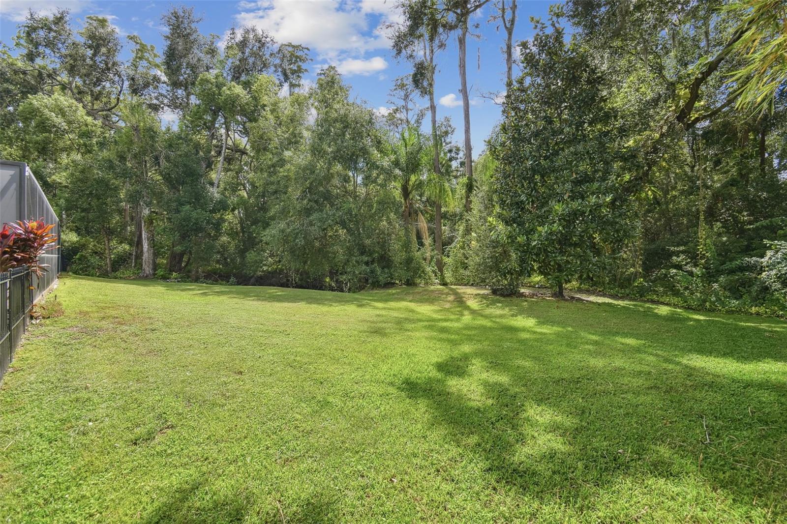 HAMMOCK WOODS - Residential