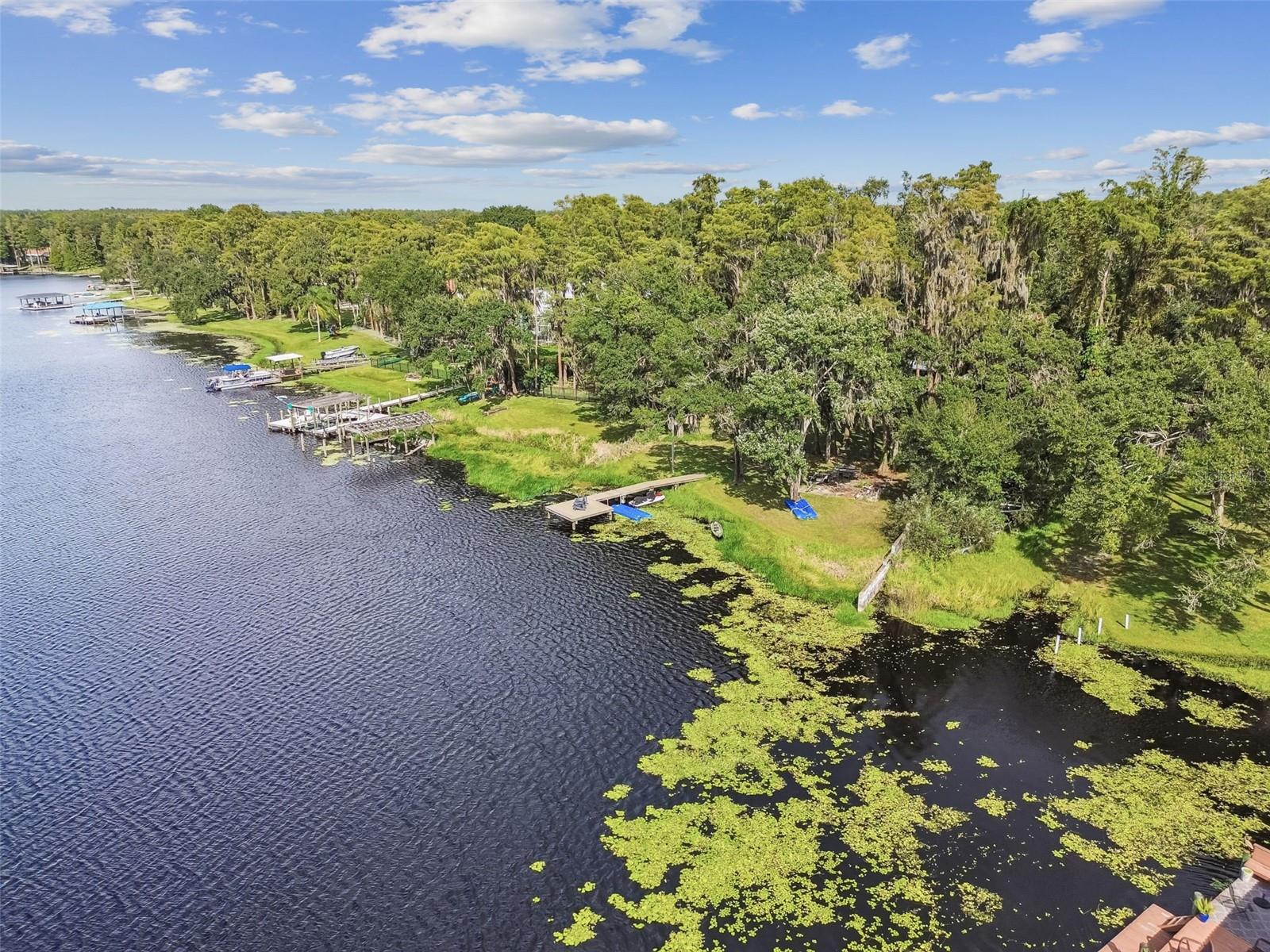 HAMMOCK WOODS - Residential