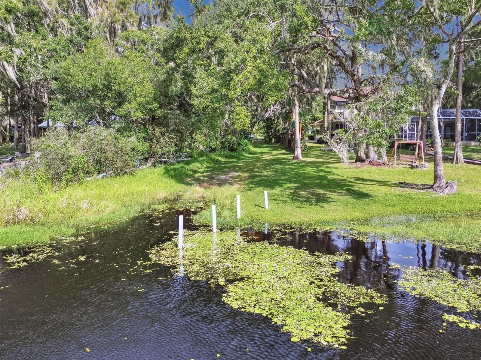 HAMMOCK WOODS - Residential