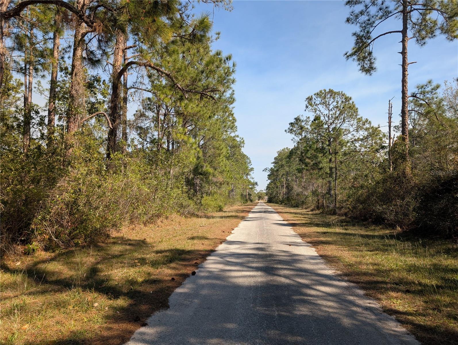 INDIAN LAKE ESTATES - Land