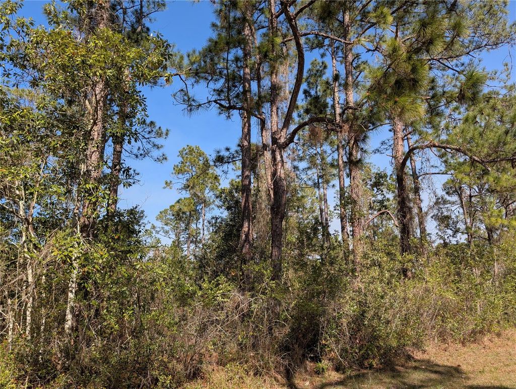 Photo of 220 Pandora Drive, Indian Lake Estates, FL 33855 (MLS # P4937705)