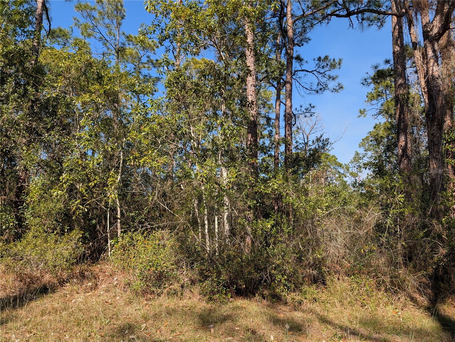 INDIAN LAKE ESTATES - Land