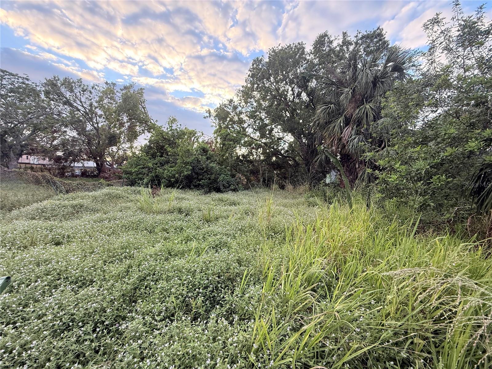 Build your dream home on this cleared, 5,000 sq. ft. vacant lot! Conveniently located near Downtown Sarasota and plenty of shopping options, this property offers endless possibilities. Plus, it's not in a flood zone, making it an even better opportunity for your future plans.