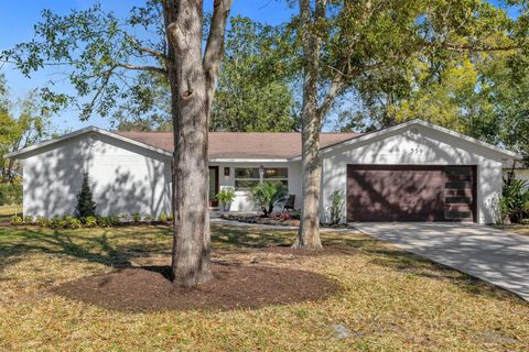 A home in WINTER GARDEN